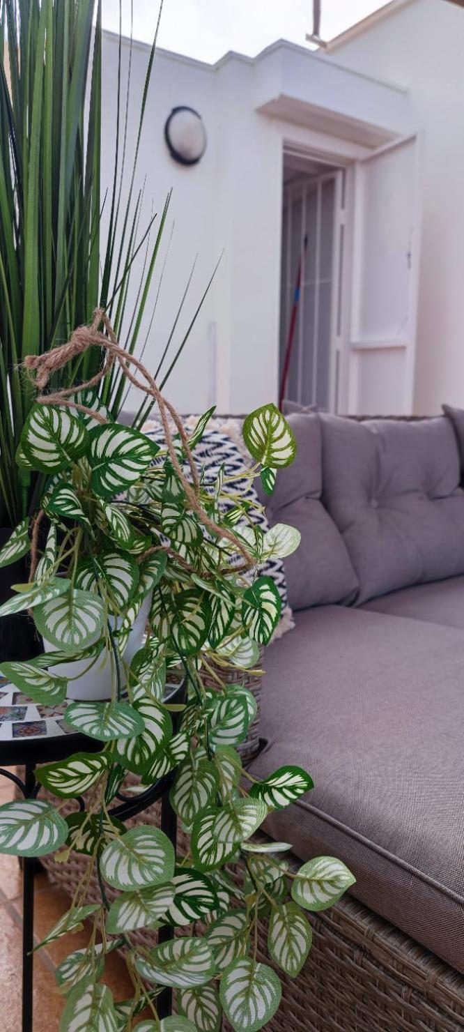 Apartamento Casa De Alba Cabo Cervera La Mata Torrevieja Kültér fotó