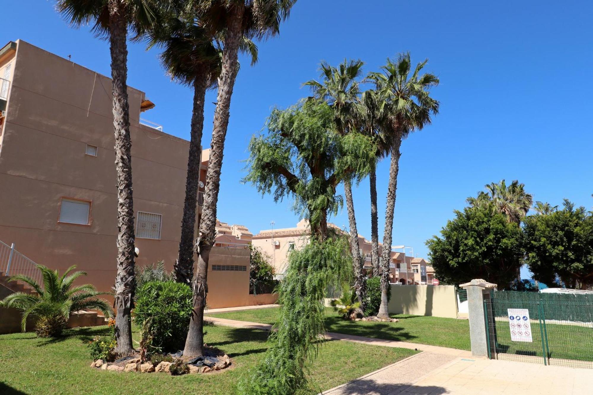 Apartamento Casa De Alba Cabo Cervera La Mata Torrevieja Kültér fotó